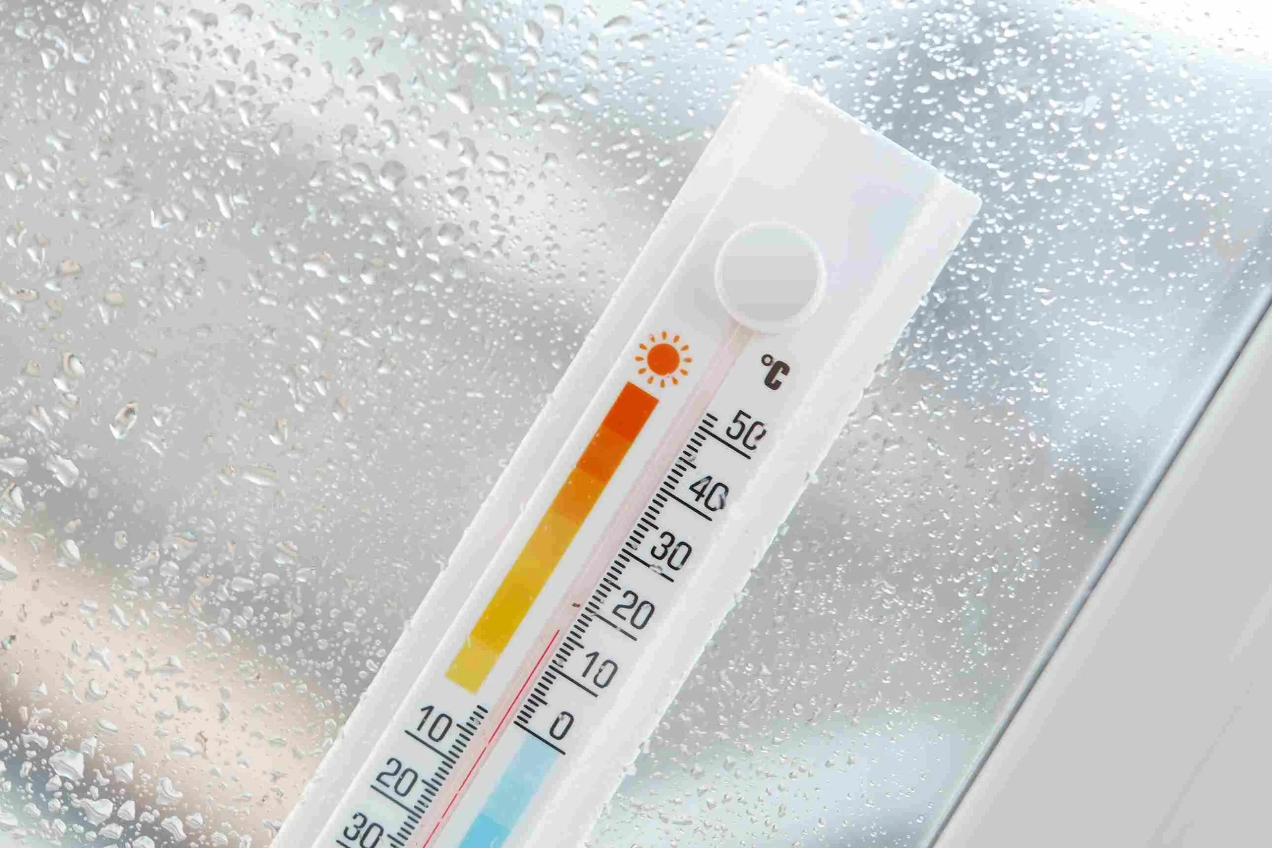 thermometer-attached-window-with-rain-plant_11zon